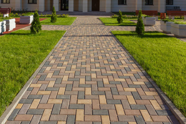 Best Luxury Driveway Paving Solutions in Braidwood, IL